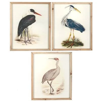 &Sea Bird& - 3 Piece Picture Frame Print Set on Wood Highland Dunes