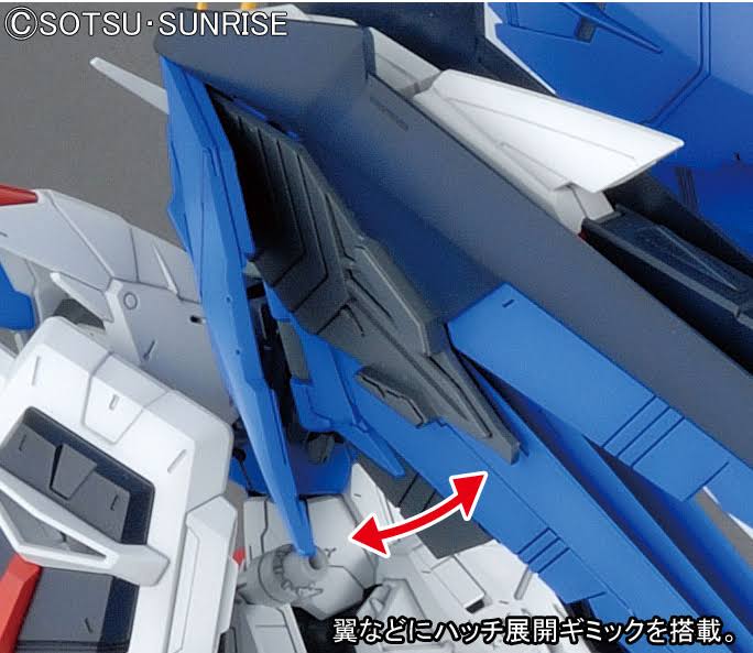 Bandai Gundam mg 1/100 Freedom Ver.2.0