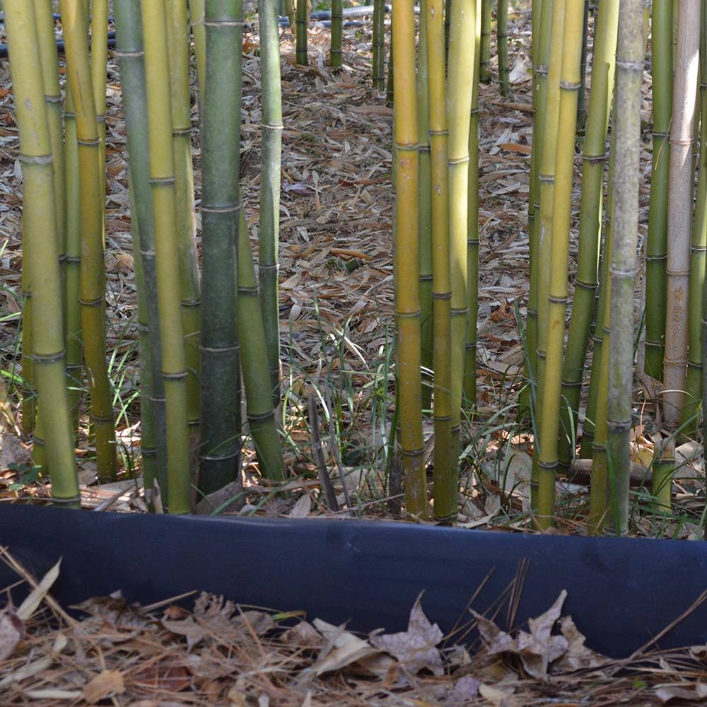 Bamboo Shield - 100 Mil Thick by 36in Depth 35 Feet