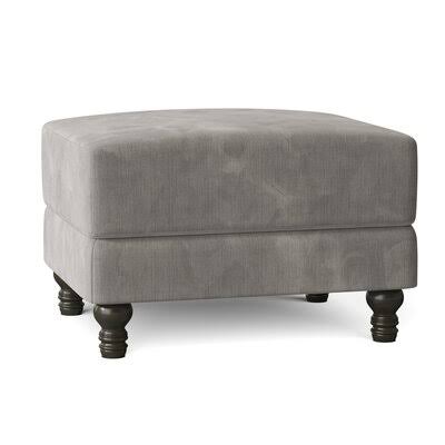 Birch Lane Montgomery 31x22 Rectangle Standard Ottoman Body Fabric: Empire Dove