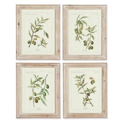 &Olive Leaf Botanical& - 4 Piece Picture Frame Graphic Art Print Set on Paper Laurel Foundry Modern Farmhouse
