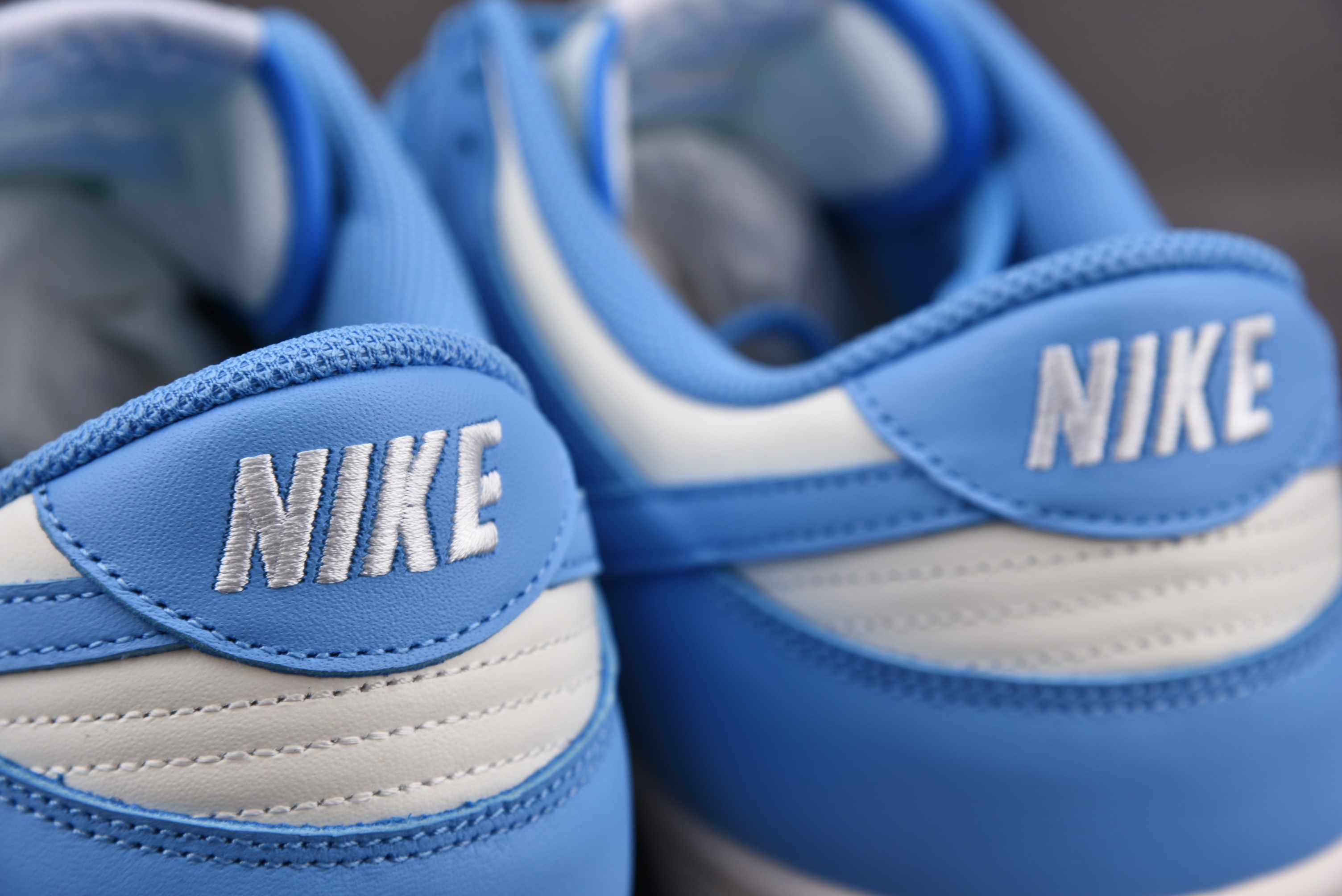 Nike Dunk Low UNC (2021)