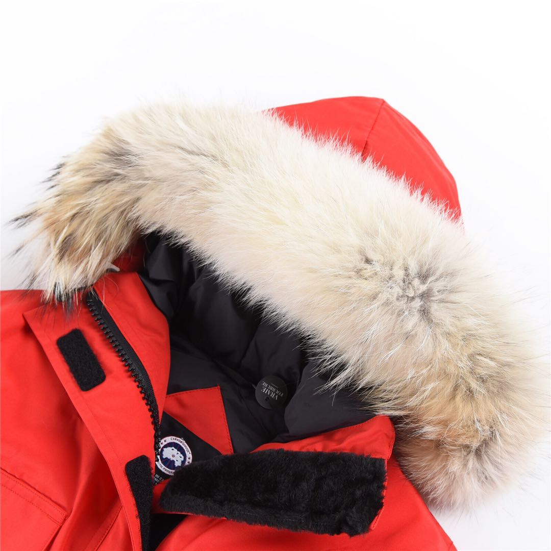 09 Canada Gooxx Expedition 4660L Red Female