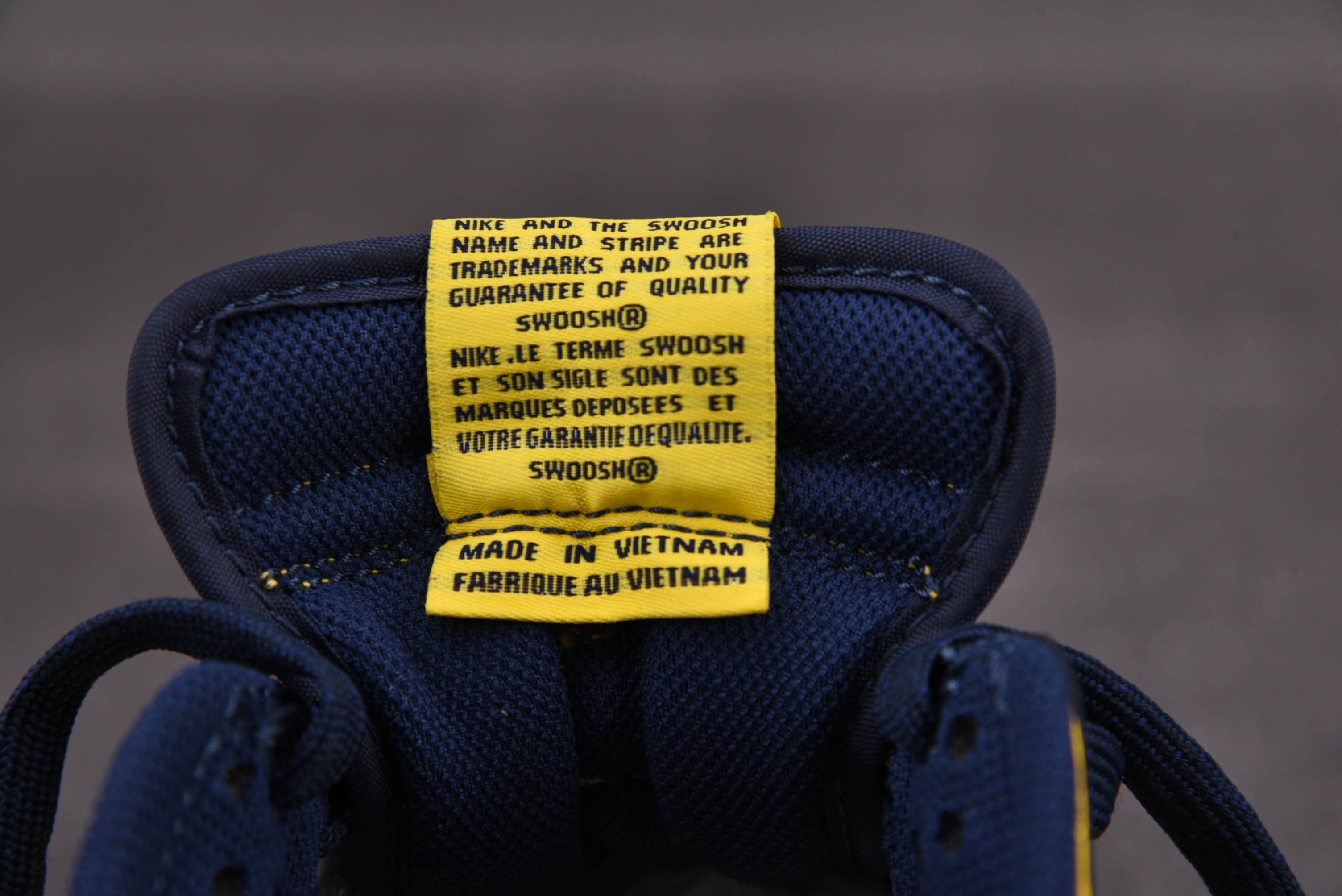 Nike Dunk Low Michigan (2021)
