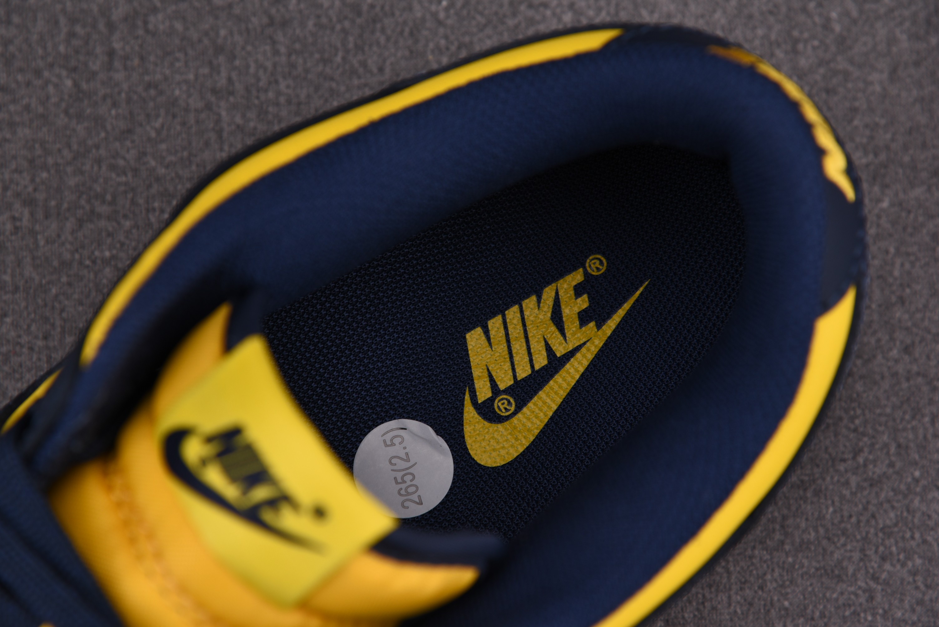 Nike Dunk Low Michigan (2021)