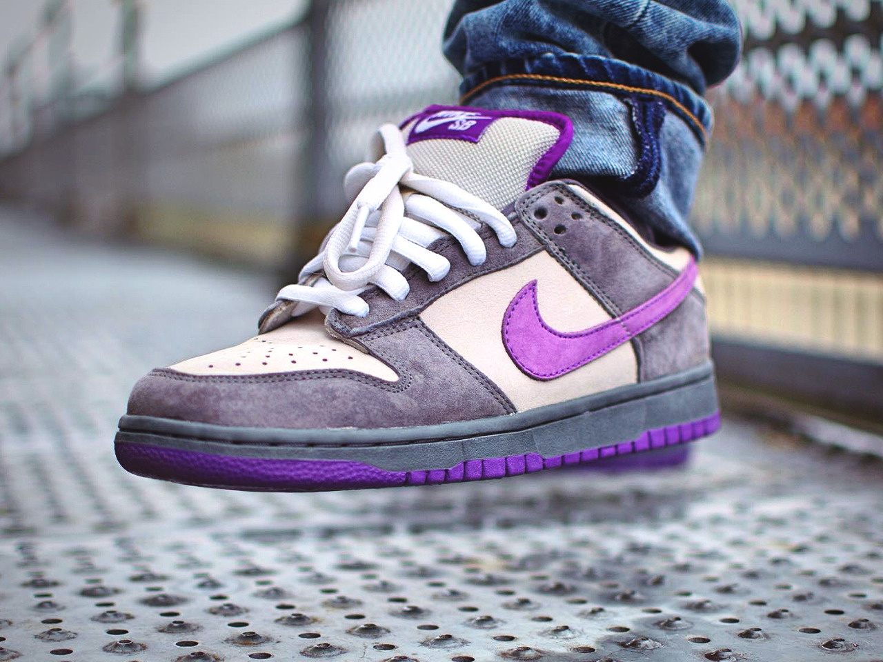 Nike Dunk SB Low Purple Pigeon