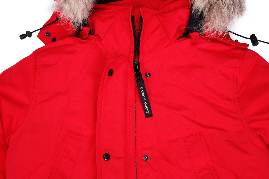 07 Canada Gooxx Red Female
