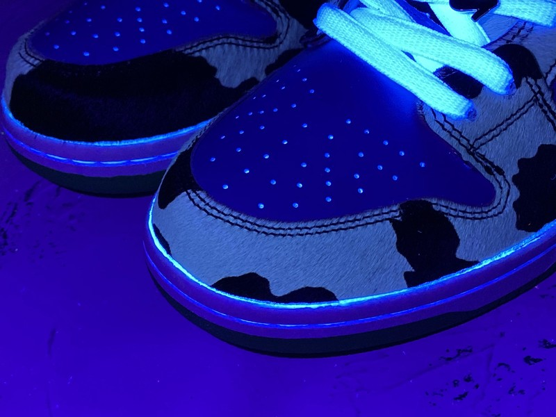 Nike SB Dunk Low Ben & Jerry's Chunky Dunky (Regular Box)