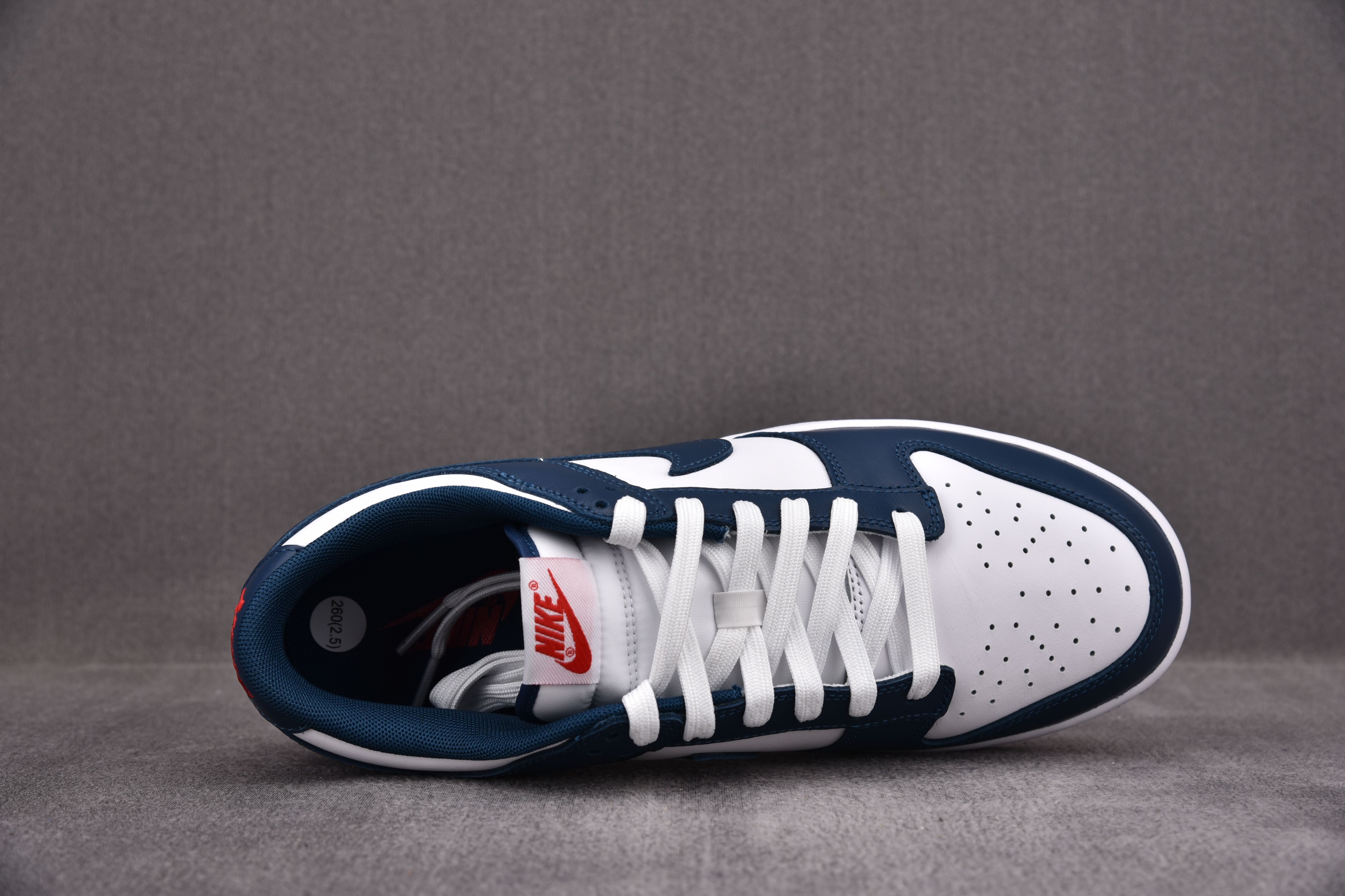 Nike Dunk Low Valerian Blue