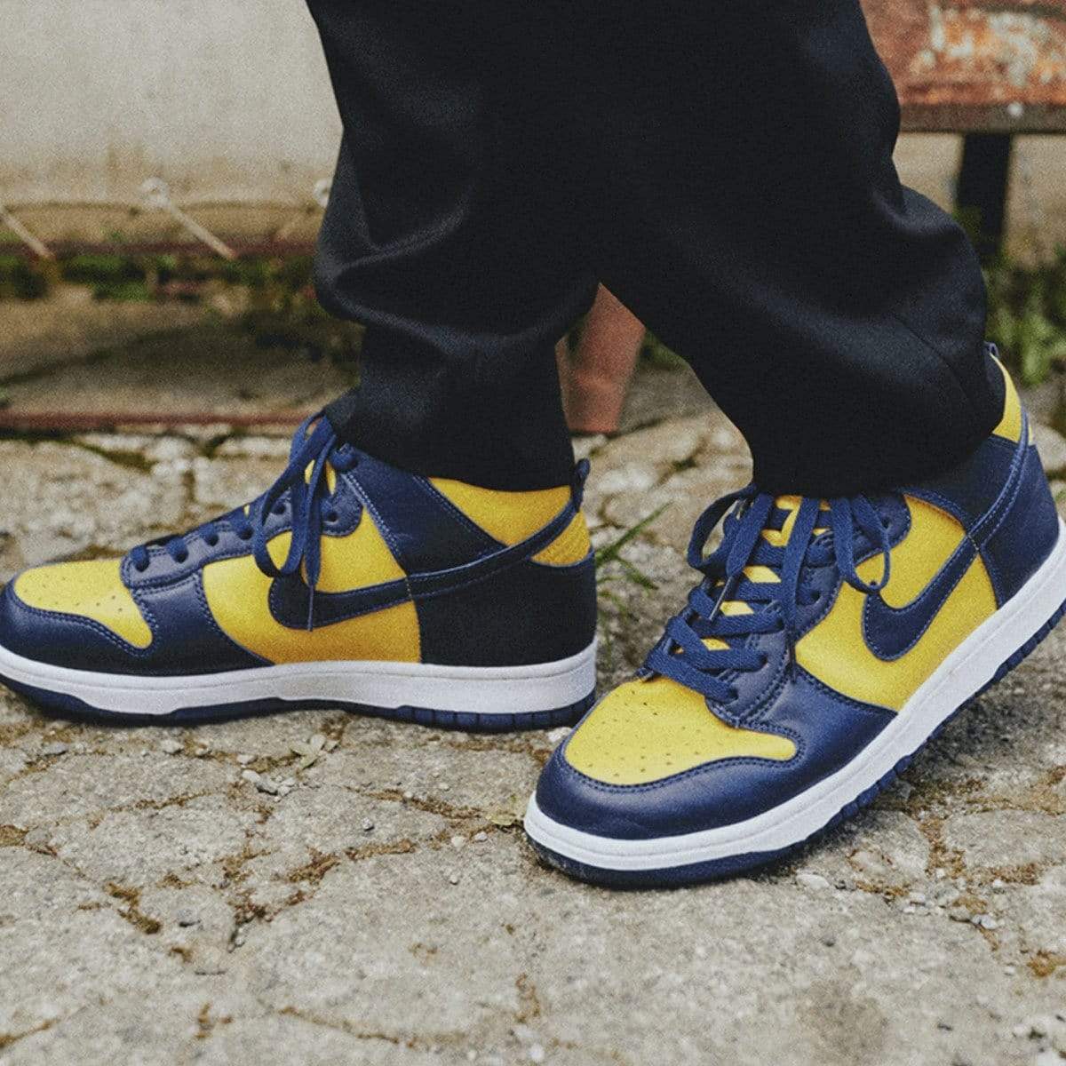 Nike Dunk Low Michigan (2021)