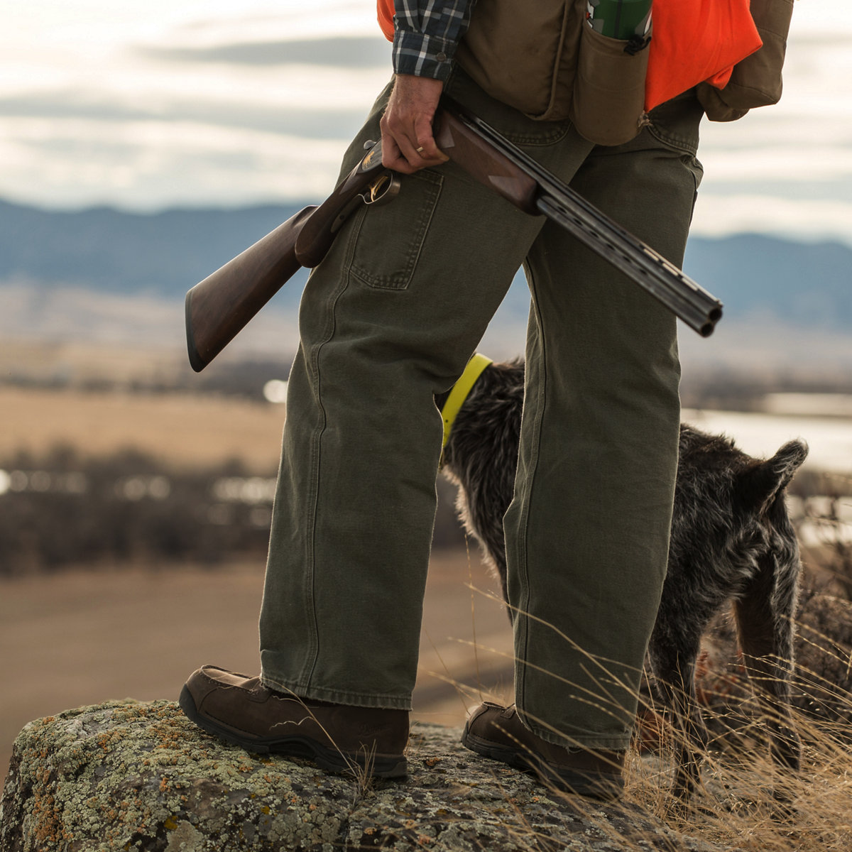 Sharptail