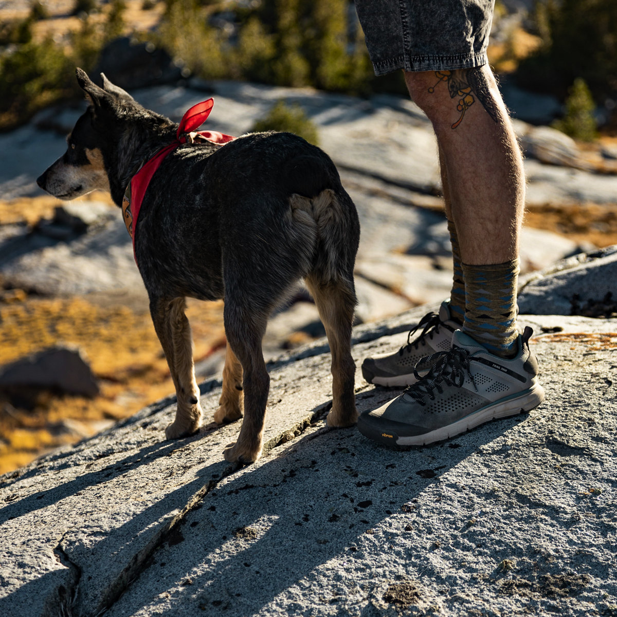 Trail 2650