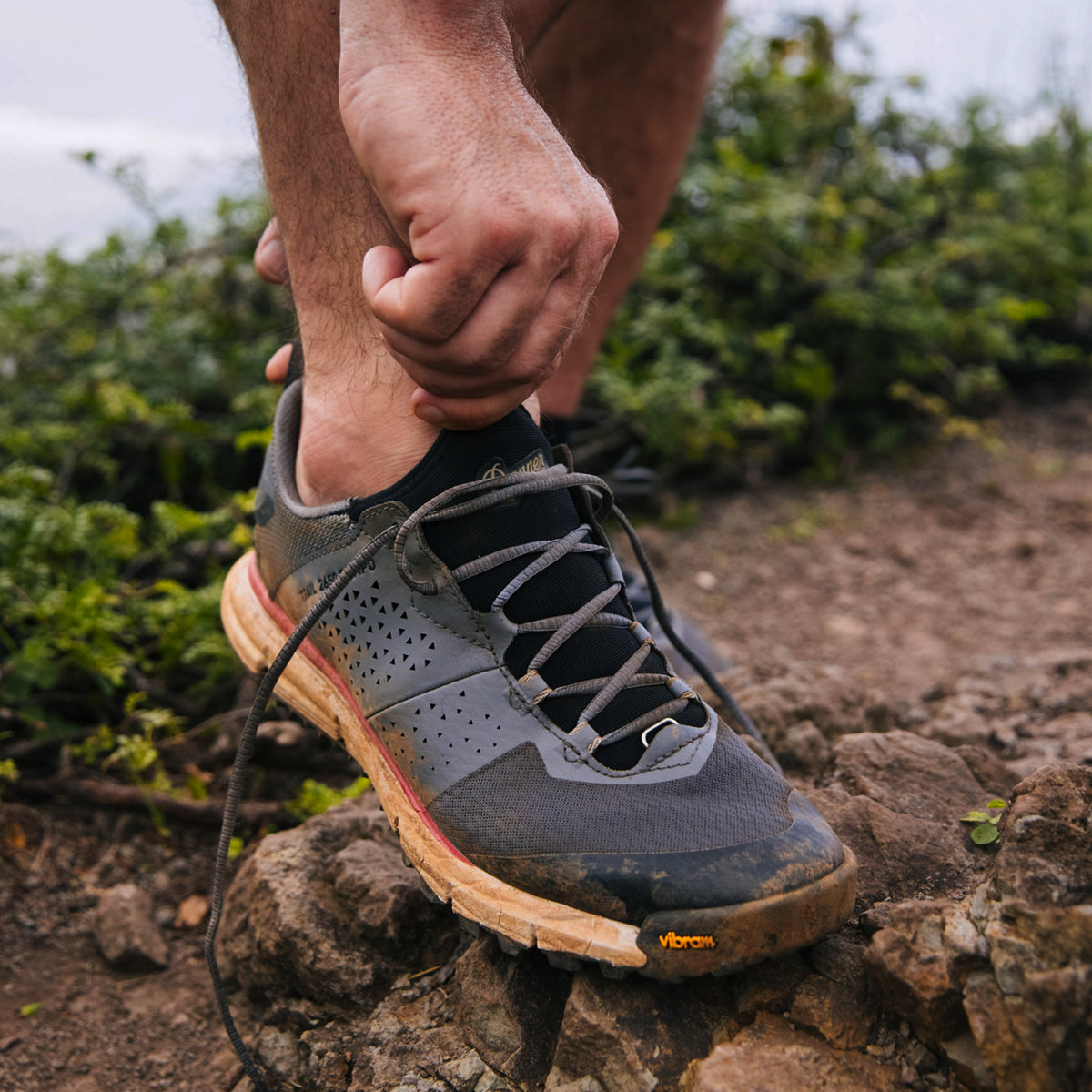 Trail 2650 Campo