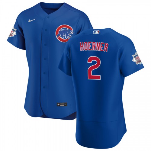 Chicago Chicago Cubs #2 Nico Hoerner Men's Royal Alternate 2020 Authentic Player Jersey Men's