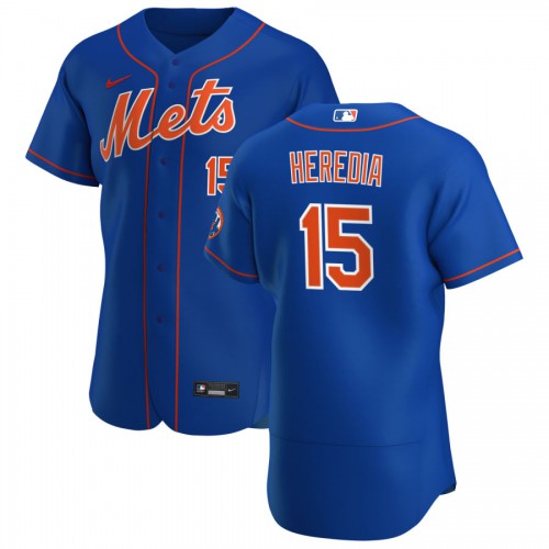 New York New York Mets #15 Guillermo Heredia Men's Royal Alternate 2020 Authentic Player Jersey Men's