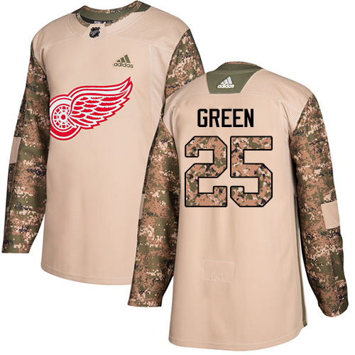 Adidas Detroit Red Wings #25 Mike Green Camo Authentic 2017 Veterans Day Stitched Jersey Men's