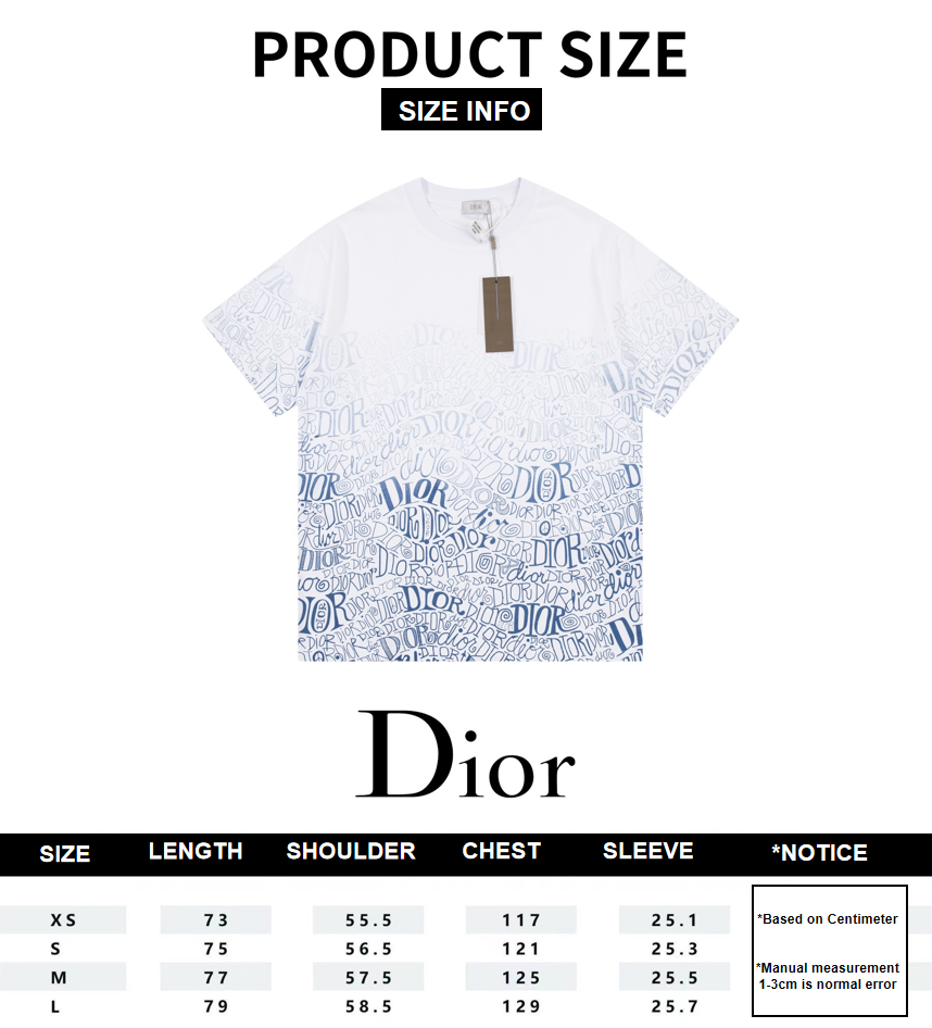 Dior Light Blue Gradient Reversible Logo Print Short Sleeve T-Shirt 6.14